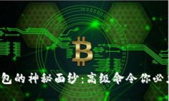 揭开虚拟币钱包的神秘面纱：高级命令你必须知