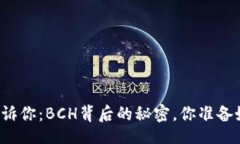 正比太钱包告诉你：BCH背后的秘密，你准备好迎