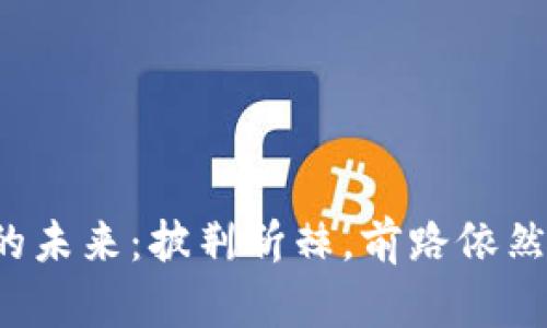 加密货币的未来：披荆斩棘，前路依然迷雾重重！