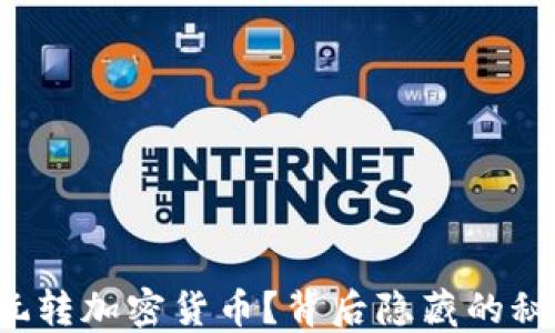 
明星如何玩转加密货币？背后隐藏的秘密是什么？