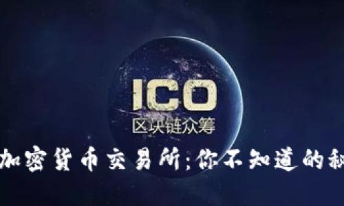 揭秘三大加密货币交易所：你不知道的秘密与潜力