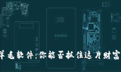 虚拟币羊毛软件：你能否抓住这片财富的风口？