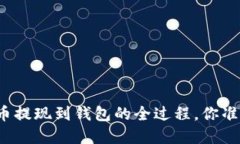 揭秘虚拟币提现到钱包的全过程，你准备好了吗