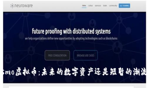 Osmo虚拟币：未来的数字资产还是短暂的潮流？