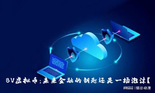 BV虚拟币：未来金融的钥匙还是一场泡沫？
