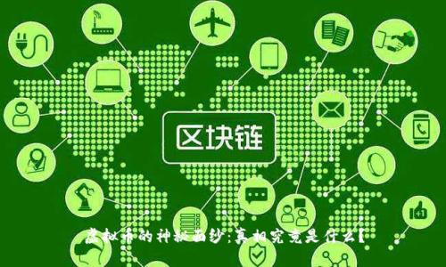 虚拟币的神秘面纱：真相究竟是什么？