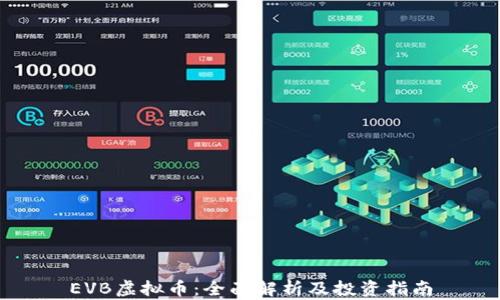 
EVB虚拟币：全面解析及投资指南