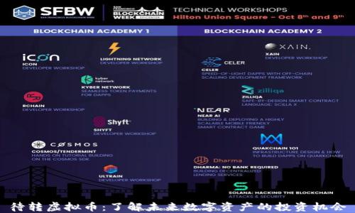 
待转虚拟币：了解未来数字资产的投资机会