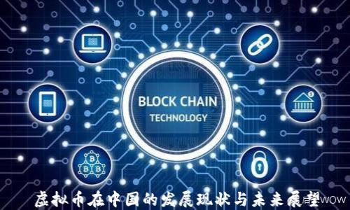 
虚拟币在中国的发展现状与未来展望