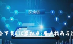 如何安全下载RTC虚拟币：用户指南与注意事项