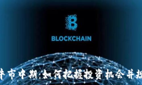   
虚拟币牛市中期：如何把握投资机会并规避风险