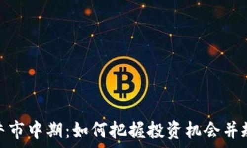   
虚拟币牛市中期：如何把握投资机会并规避风险