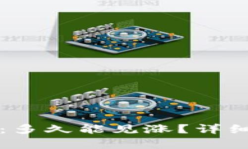 虚拟币投资：多久能见涨？详细分析与策略