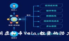 全面解析虚拟币Vela：投资的潜力与风险