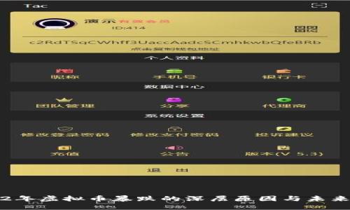 2022年虚拟币暴跌的深层原因与未来展望