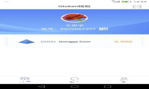 虚拟币项目分类解析：探究各类数字货币的标准与特征