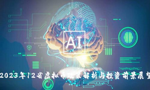 2023年12省虚拟币政策解析与投资前景展望