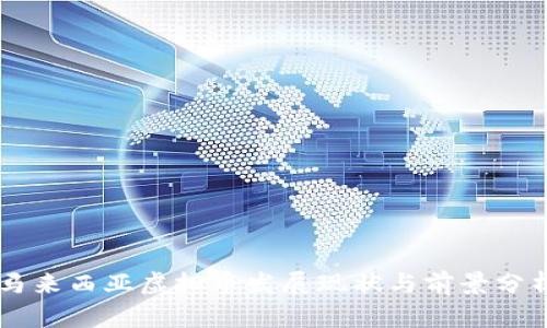 马来西亚虚拟币发展现状与前景分析