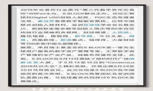 
中美虚拟币对比与未来展望