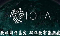 虚拟币电子数据司法鉴定：确保数字资产安全与