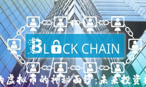 
揭开单价最贵的虚拟币的神秘面纱：未来投资机会与风险分析