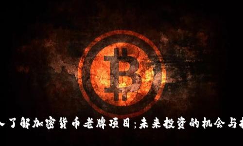 深入了解加密货币老牌项目：未来投资的机会与挑战