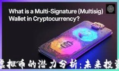 比特币虚拟币的潜力分析：未来投资的金矿