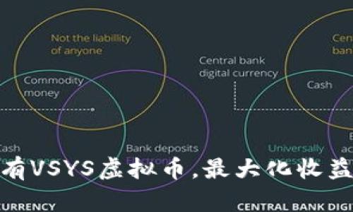 如何长期持有VSYS虚拟币，最大化收益与降低风险