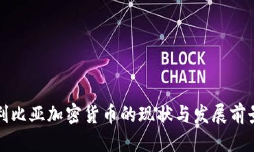 利比亚加密货币的现状与发展前景