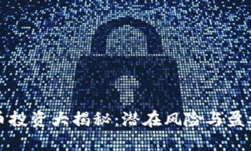 虚拟币投资大揭秘：潜在风险与盈利机会