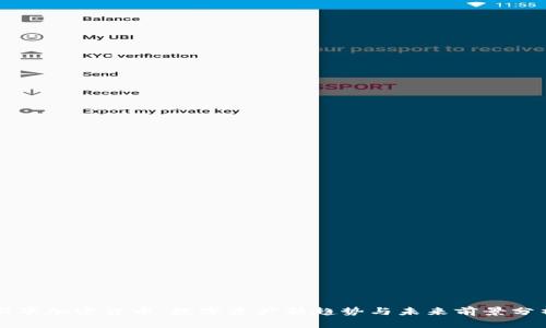 新华加密货币：数字资产新趋势与未来前景分析